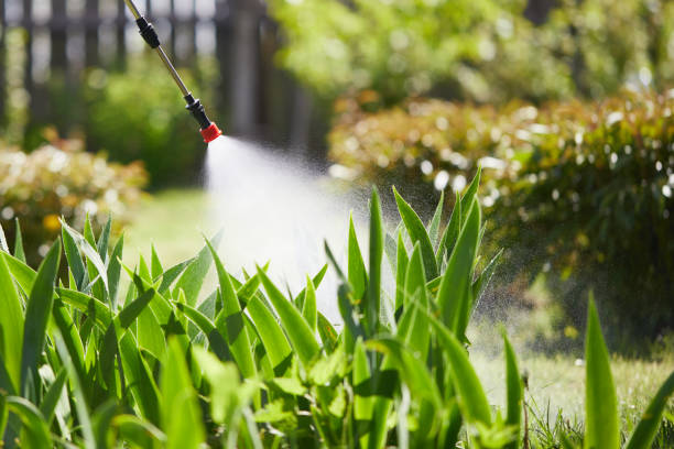 Tamper-Resistant Bait Stations for Rodents in Lafourche Crossing