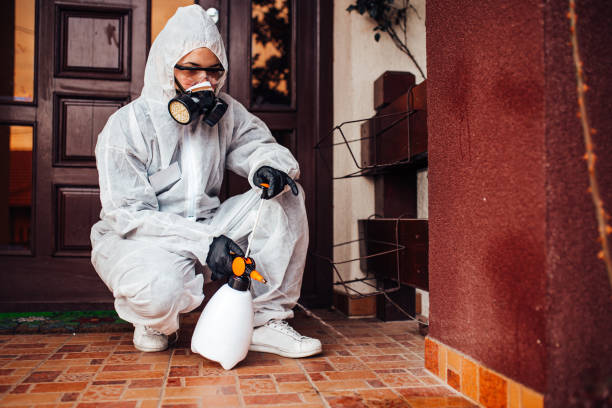 Attic and Crawl Space Rodent Treatment in Lafourche Crossing