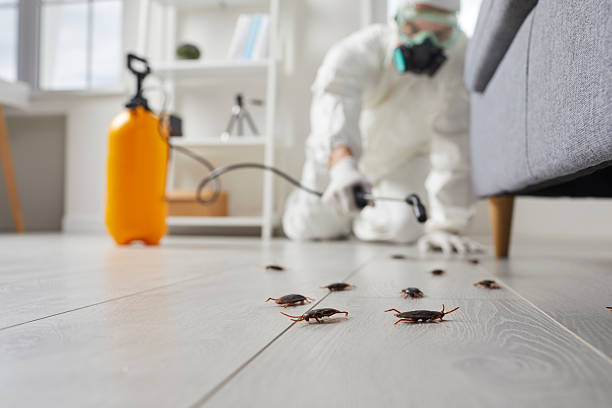 Commercial Rodent Management in Lafourche Crossing